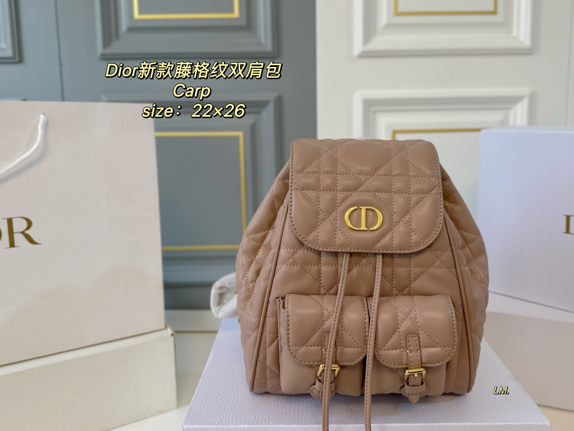 DIOR bag 149